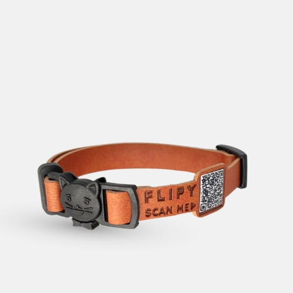 FLİPY QR KODLU KEDİ BOYUN TASMASI*5